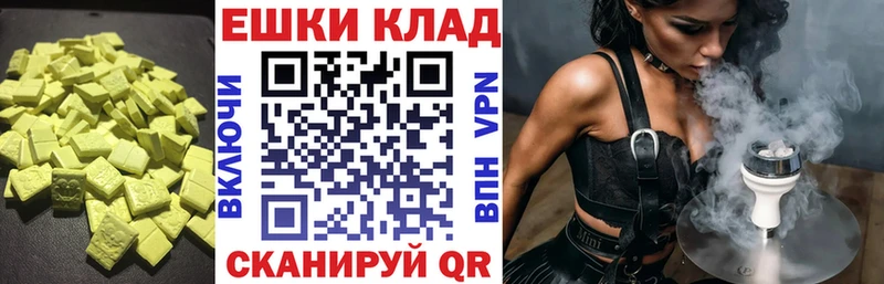 ЭКСТАЗИ Philipp Plein  Купить  Чегем 