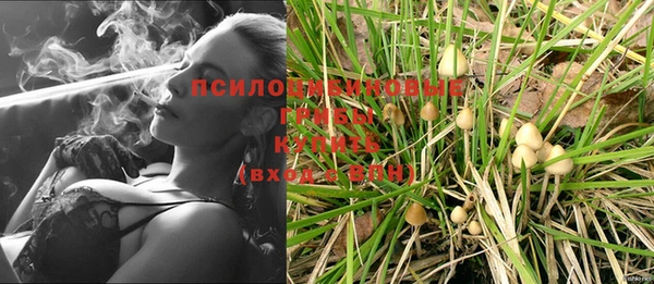 ГАЛЛЮЦИНОГЕННЫЕ ГРИБЫ Бугульма