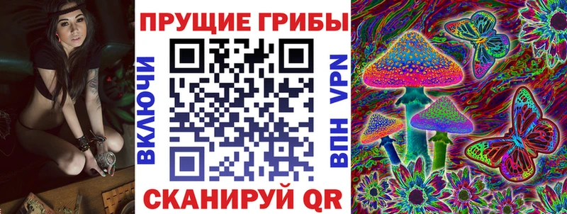 Купить  Чегем  Галлюциногенные грибы прущие грибы 